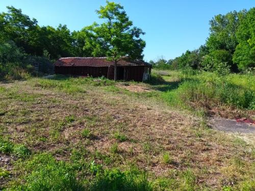 HOUSE TO BARN VIEW