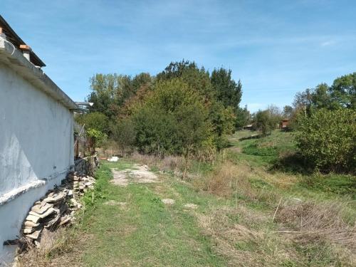 side view with road to garden for vehicles