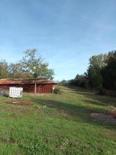 barn and garden