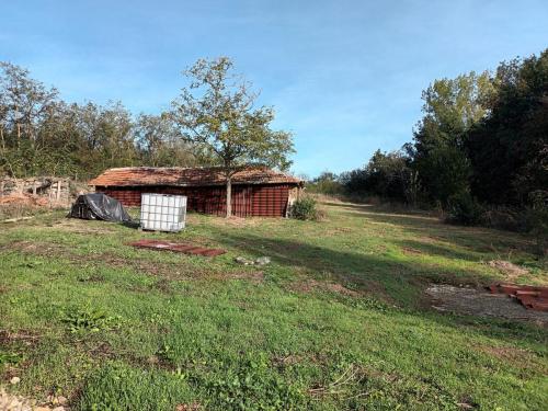 barn and garden